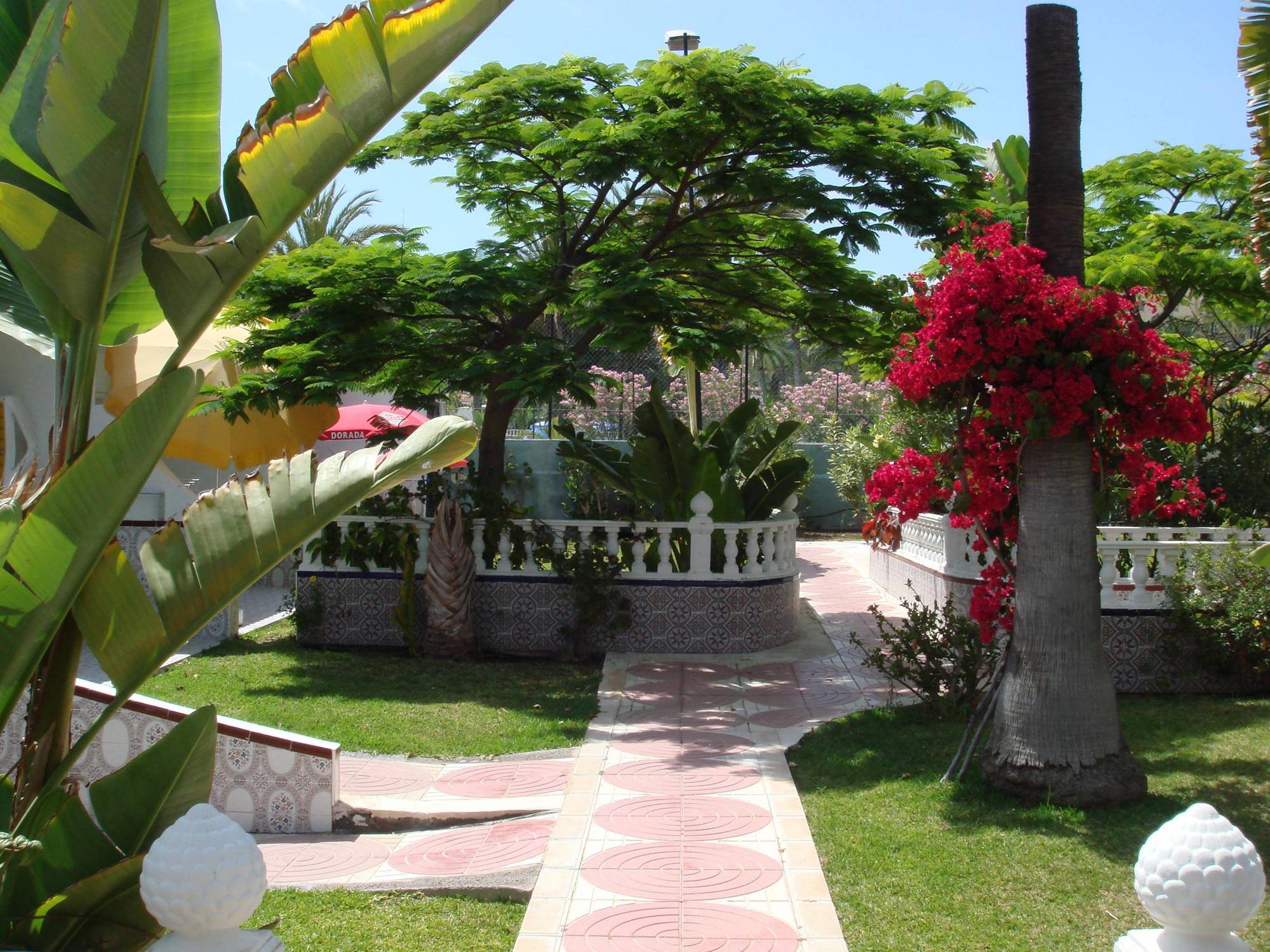 Отель San Valentin & Terraflor Park Плайя-дель-Инглес Экстерьер фото